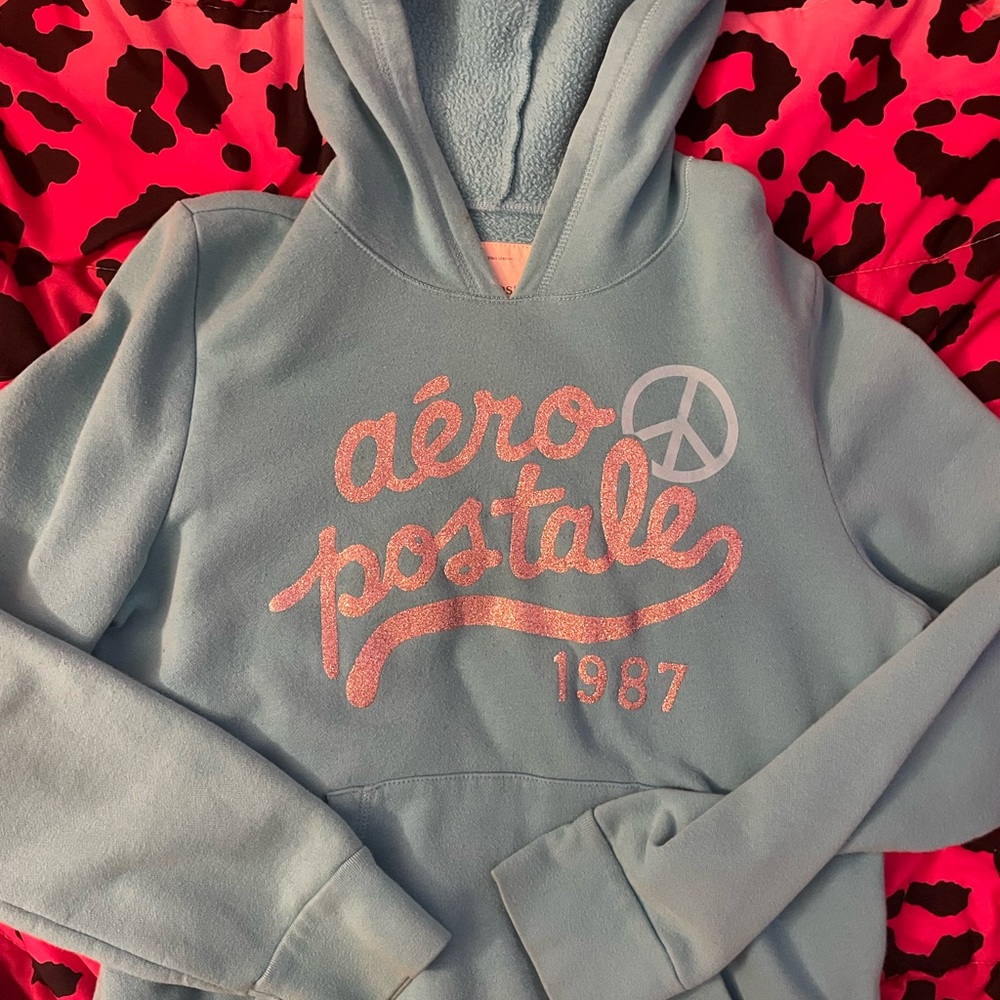 Aeropostale Teal Garment Label